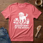 Assistant Of The Month T-Shirt